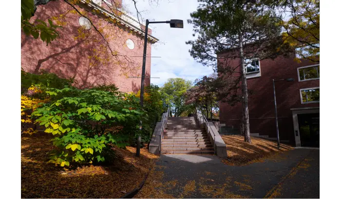 Stairway at Harvard University. Photo by Jason Pramas. Copyright 2023 Jason Pramas.