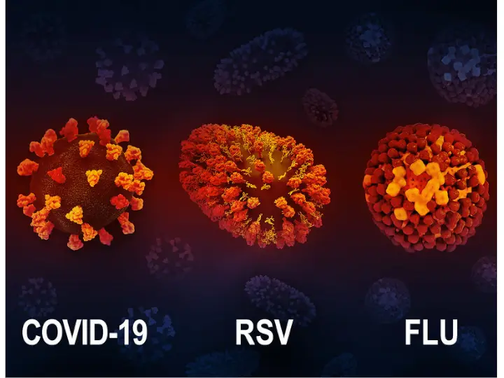 3D renditions of three respiratory viruses: COVID-19, RSV, and flu. Credit: NIAID. CC BY 2.0 DEED.
