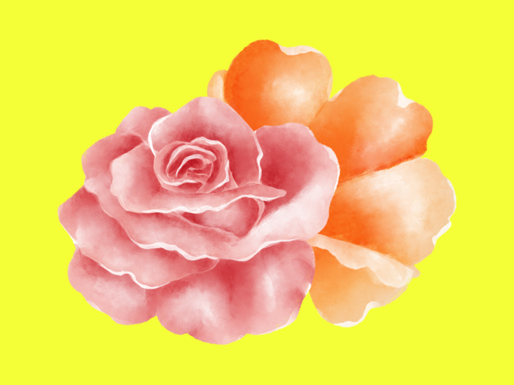 A big pink flower and a big orange flower on a bright yellow background