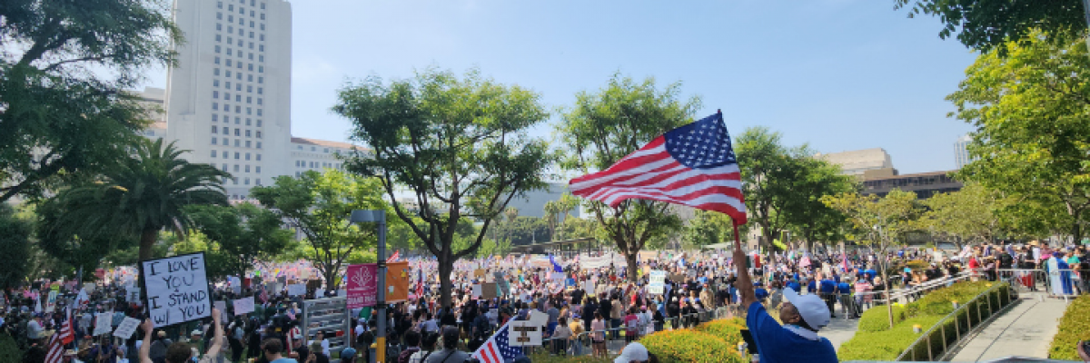 Photograph of the protest in front of City Hall in Downtown Los Angeles, California at 10:20 a.m. PST (June 14, 2025). Image by ItalianAce. Creative Commons Attribution-Share Alike 4.0 International ItalianAce.