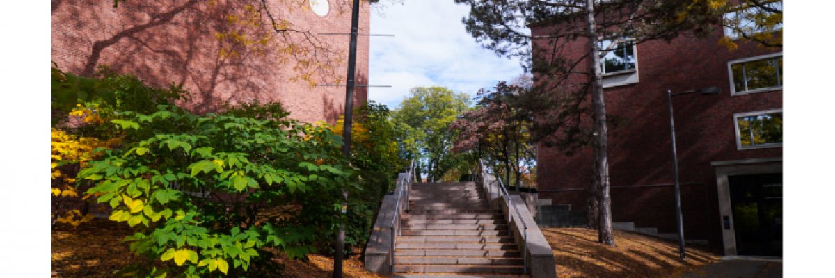 Stairway at Harvard University. Photo by Jason Pramas. Copyright 2023 Jason Pramas.